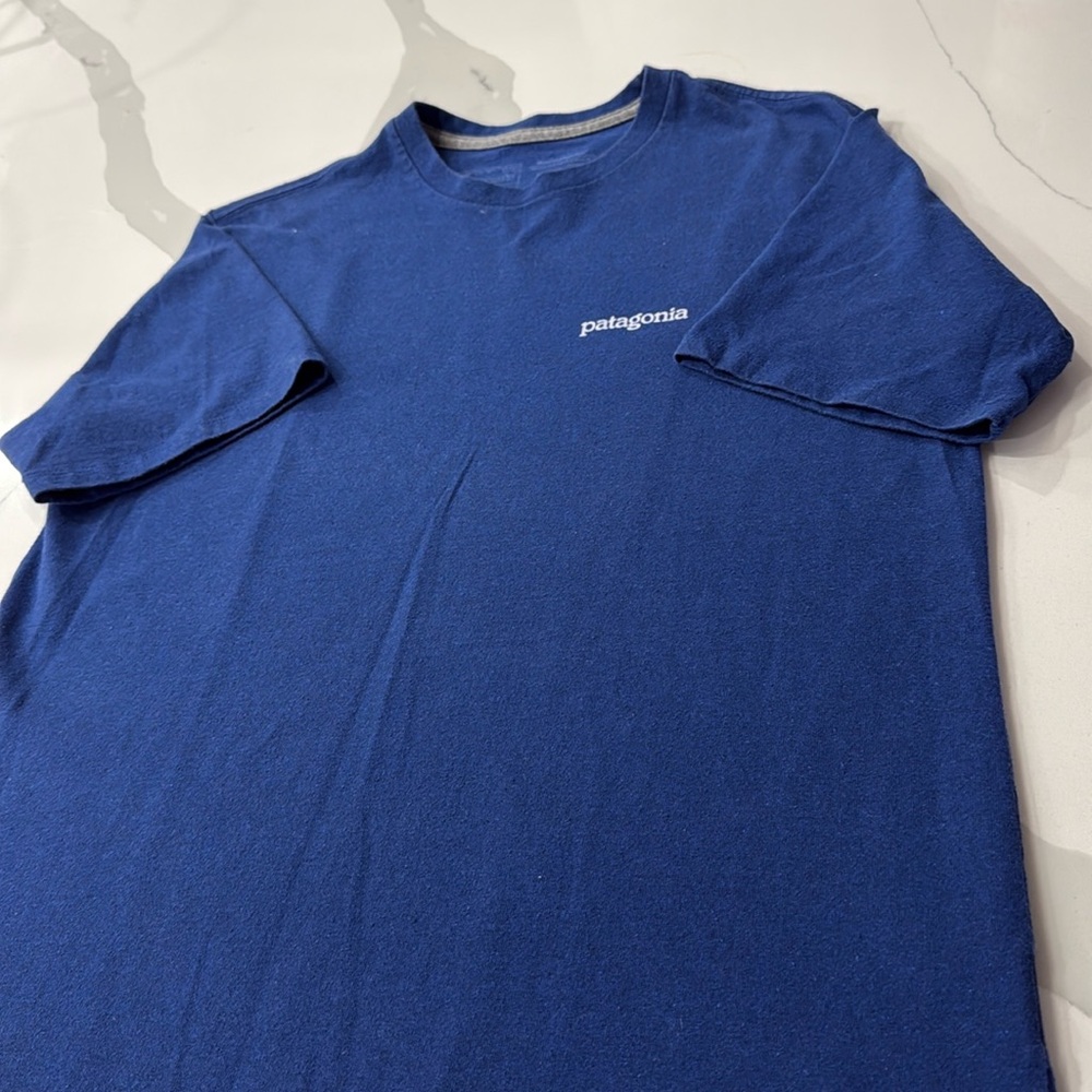 Men’s Patagonia short sleeve  t shirt